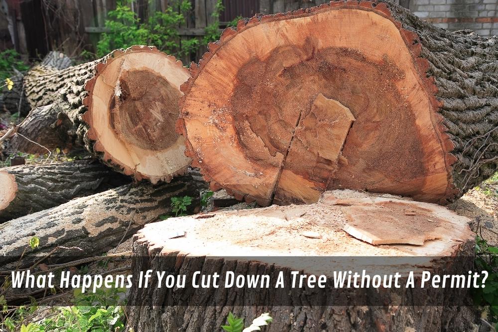 Image presents What Happens If You Cut Down A Tree Without A Permit