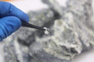 Close-up of a gloved hand holding a small asbestos sample with tweezers, illustrating the process of demolition asbestos testing.