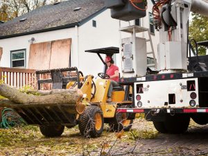 Worker operating machinery to remove a dying tree in a garden, highlighting the tree removal process for safety.