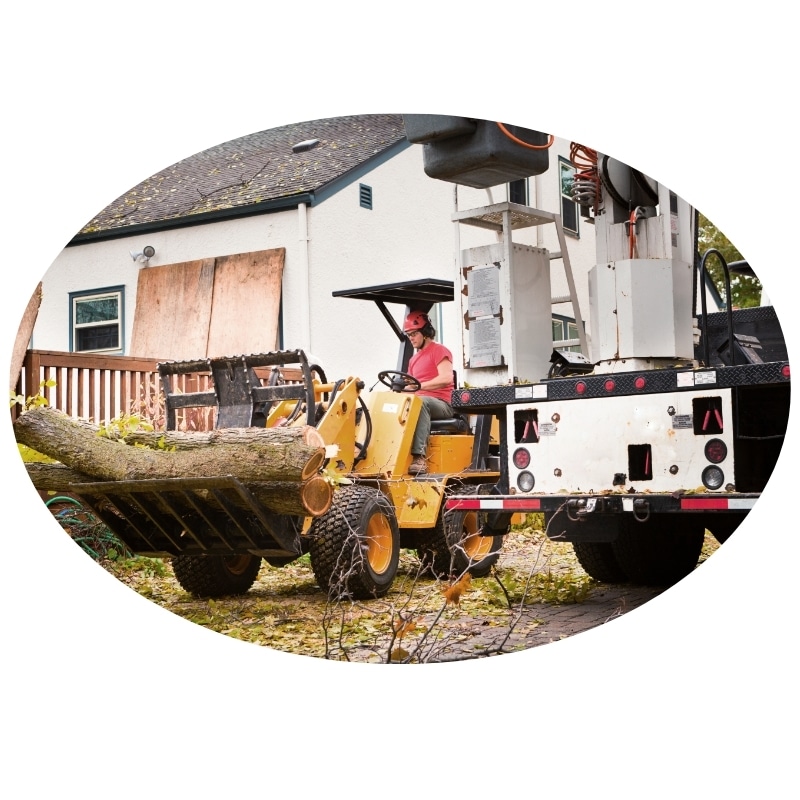 Affordable tree removal in Central Coast NSW with a worker operating a loader to clear debris.