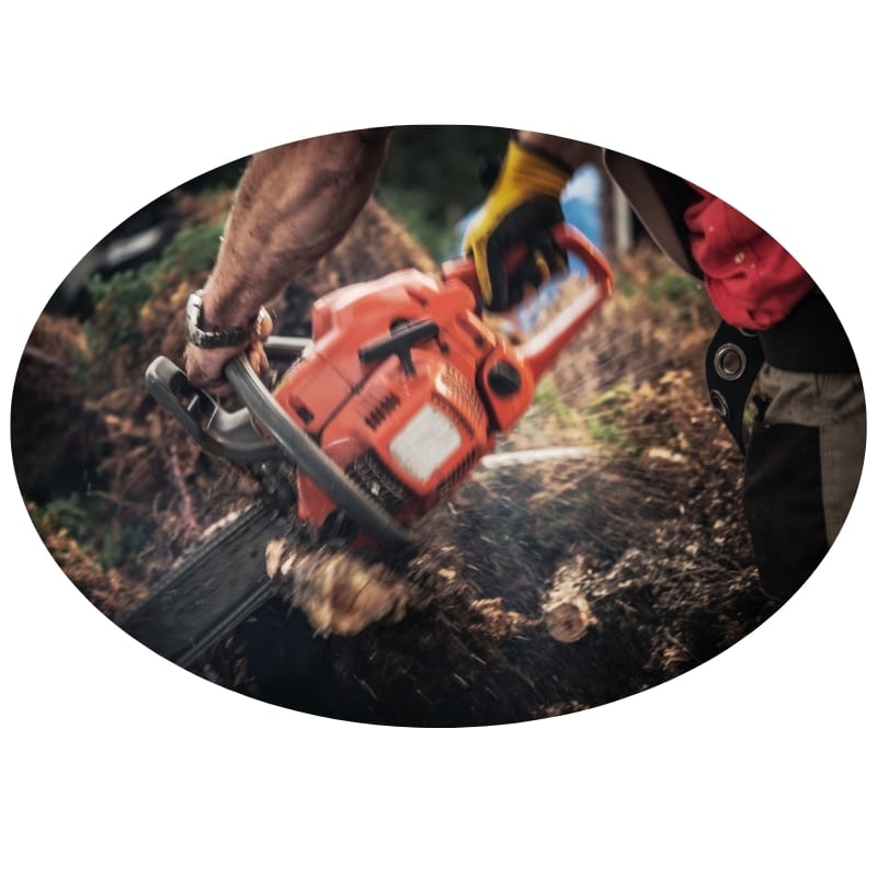 Man using a chainsaw for tree removal on the Central Coast.