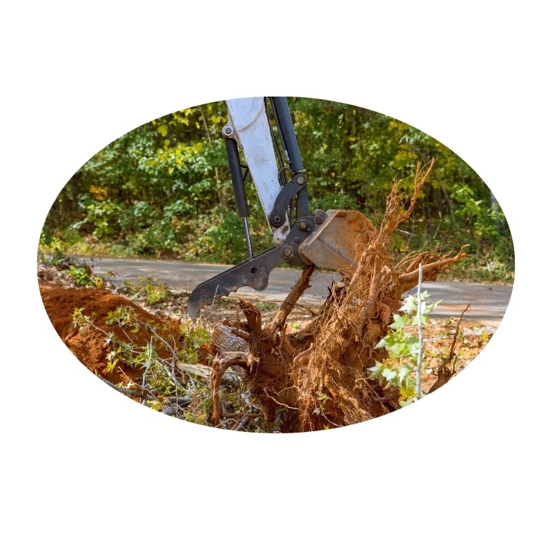 Tree removal Port Stephens showing an excavator removing a tree stump from the ground.