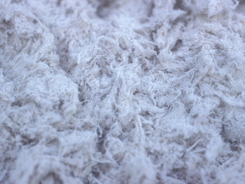 Close-up of asbestos fibers showing the dangers of getting rid of asbestos improperly.